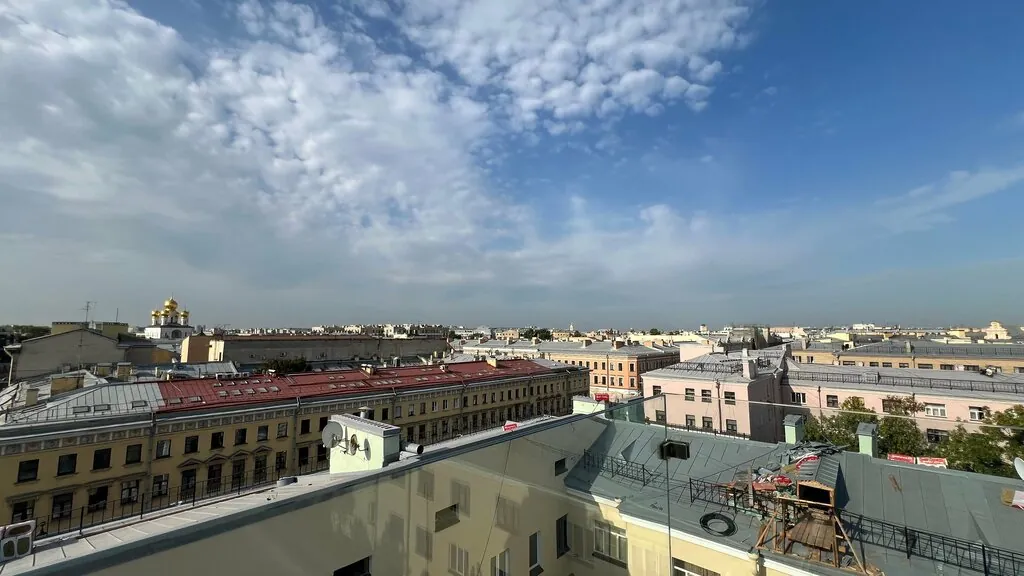 Фото гостьи из отзыва: вид на крыши Петербурга